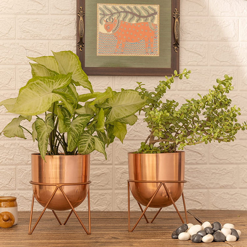 Buy Nuksa Zig Zag Planter (Rose Gold) - Set Of Two Pots & Planters from Vaaree