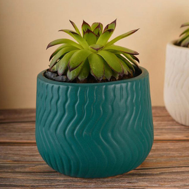 Buy Plateo Wave Planter (Teal & White) - Set Of Two Pots & Planters from Vaaree