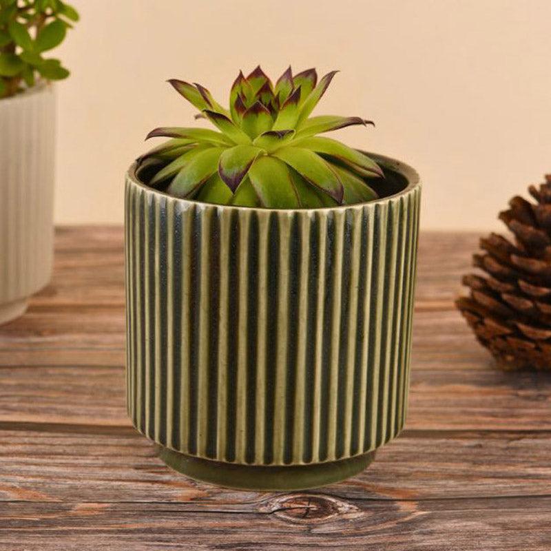 Buy Ahanay Ribbed Planter (Olive Green & White) - Set Of Two Pots & Planters from Vaaree