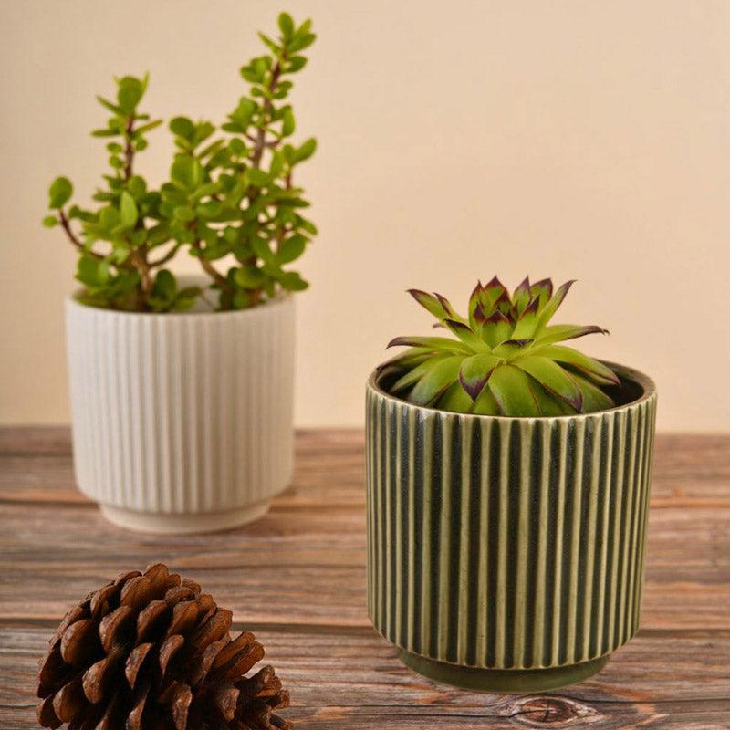 Buy Ahanay Ribbed Planter (Olive Green & White) - Set Of Two Pots & Planters from Vaaree