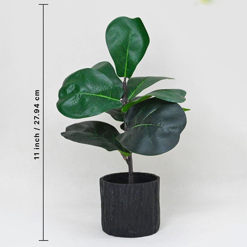 Buy Faux Everlasting Fiddle-Leaf Fig Plant With Pot - 28 cms Artificial Plants from Vaaree