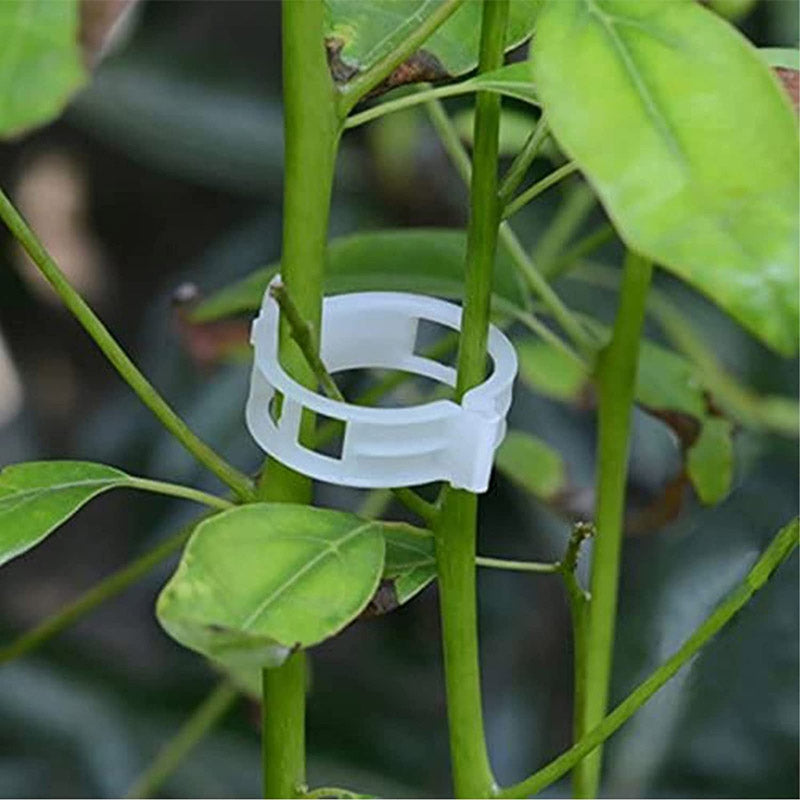 Buy Plant Pro Garden Clip (White) - Set Of Two Hundred Garden Accessories from Vaaree