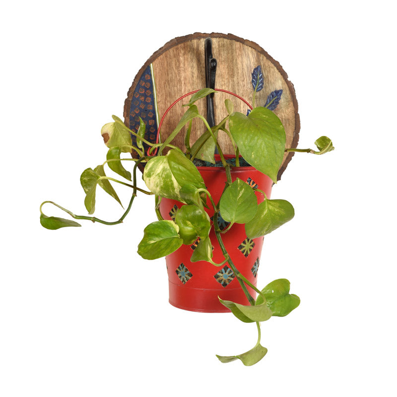 Buy Takara Hanging Planter - Two Piece Set Pots & Planters from Vaaree