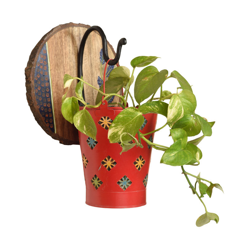 Buy Takara Hanging Planter - Two Piece Set Pots & Planters from Vaaree