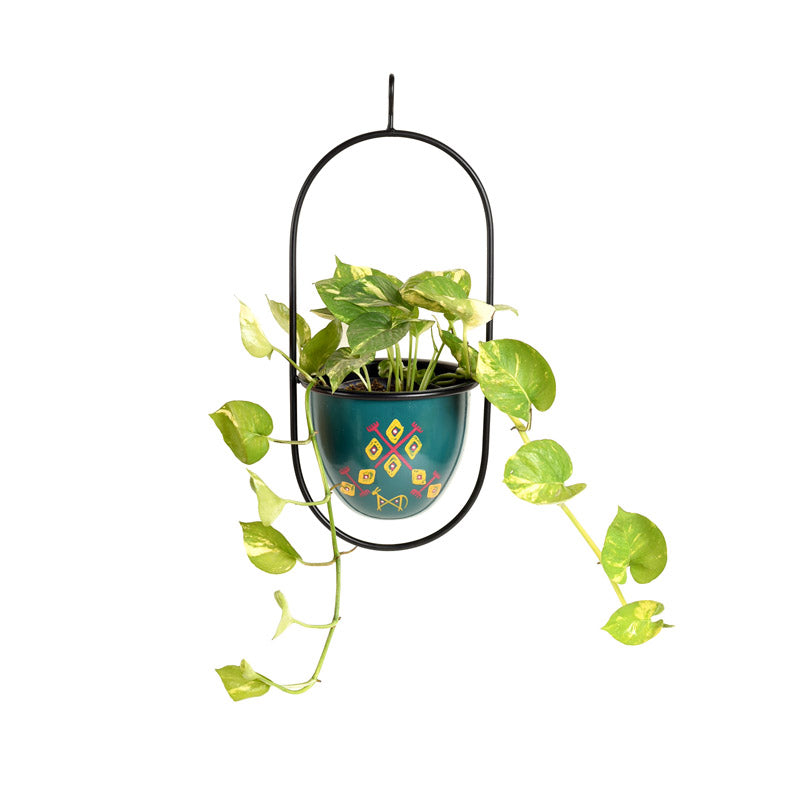 Buy Aziza Hanging Planter Pots & Planters from Vaaree