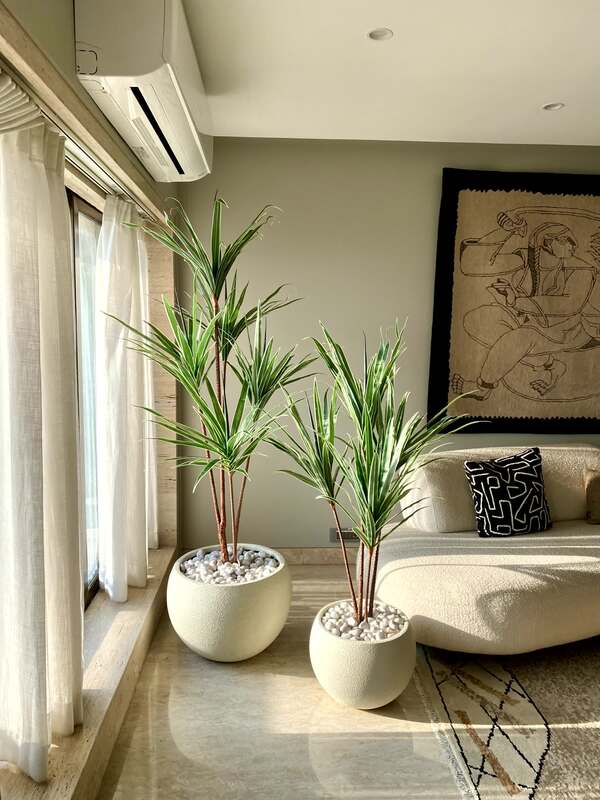 Buy Faux Dracaena Tree - 6 Feet Artificial Plants from Vaaree