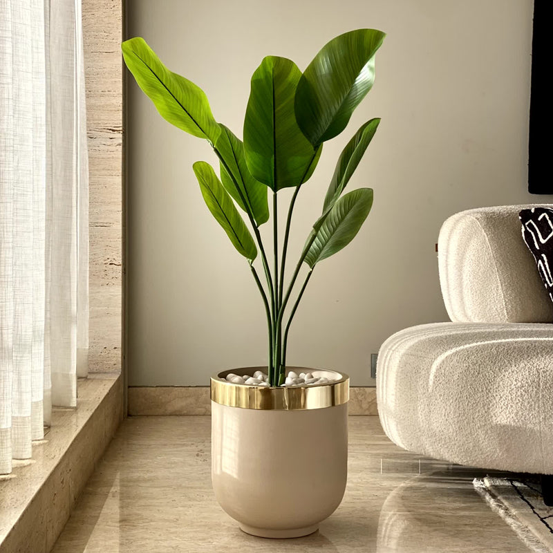 Buy Ebla Iron Planter - Beige Pots & Planters from Vaaree