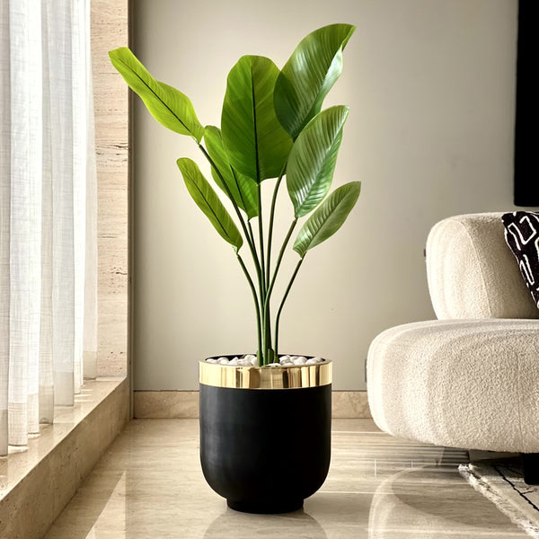 Buy Ebla Iron Planter - Black Pots & Planters from Vaaree