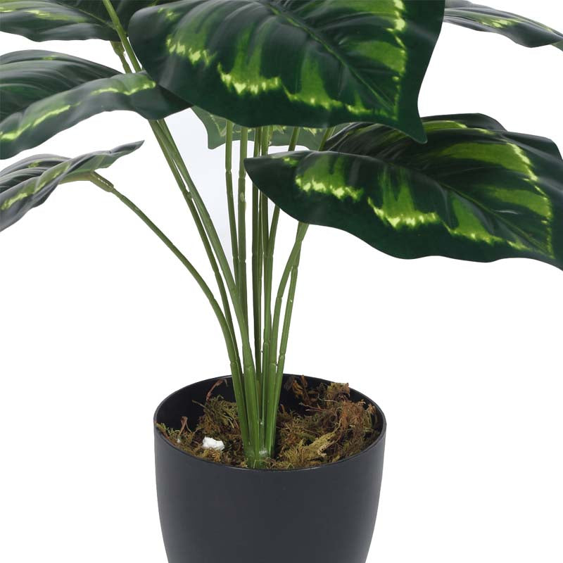 Buy Faux Lush Krasten Monstera Plant With Pot - 1.8 Feet Artificial Plants from Vaaree