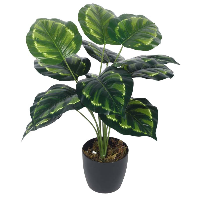 Buy Faux Lush Krasten Monstera Plant With Pot - 1.8 Feet Artificial Plants from Vaaree