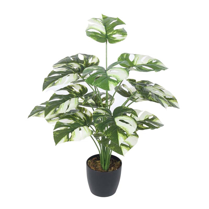 Buy Faux Lush Monstrera Plant With Pot - 2.3 Feet Artificial Plants from Vaaree