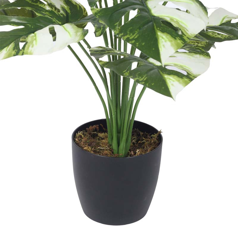 Buy Faux Lush Monstrera Plant With Pot - 2.3 Feet Artificial Plants from Vaaree