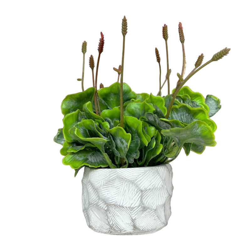 Buy Faux Tropical Moss With Pot Artificial Plants from Vaaree