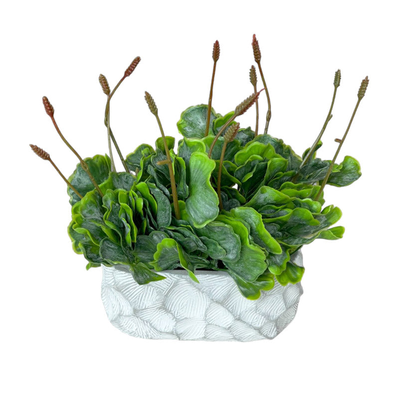 Buy Faux Tropical Moss With Pot Artificial Plants from Vaaree