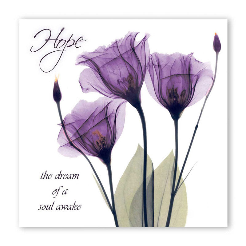 Buy Hawkins Floral Wall Art Wall Art & Paintings from Vaaree