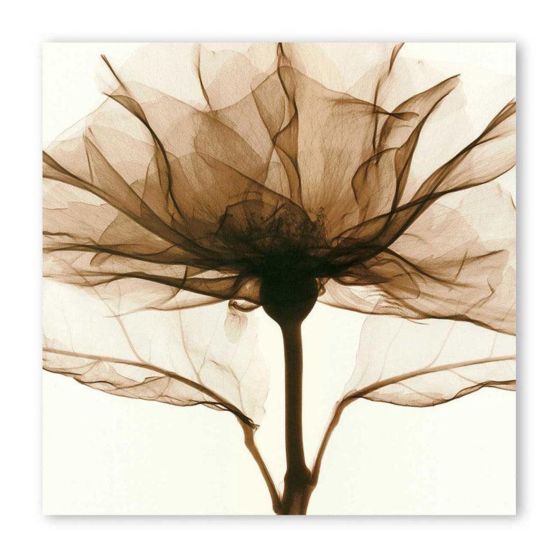 Buy Austin Floral Wall Art Wall Art & Paintings from Vaaree