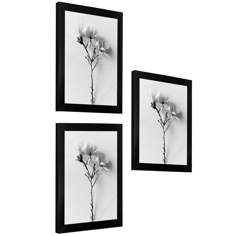 Buy Arabella Photo Frame (Black) - Set of Three Photo Frames from Vaaree