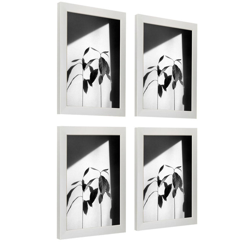 Buy Nitra Photo Frame Wall Art - Set Of Four Photo Frames from Vaaree