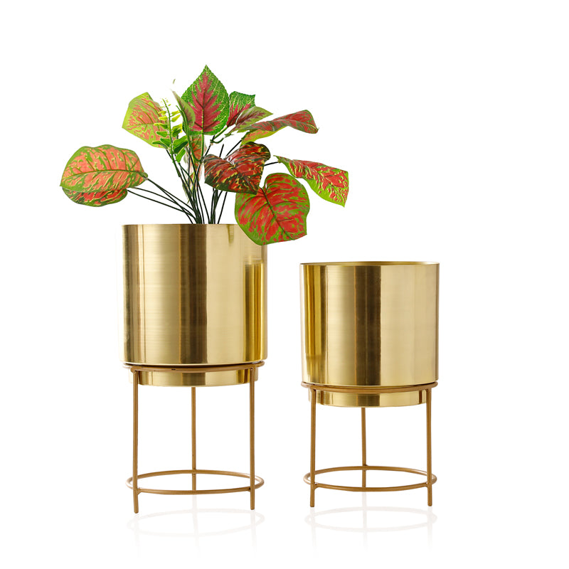 Buy Hemera Raagi Planter (Gold) - Set Of Two Pots & Planters from Vaaree