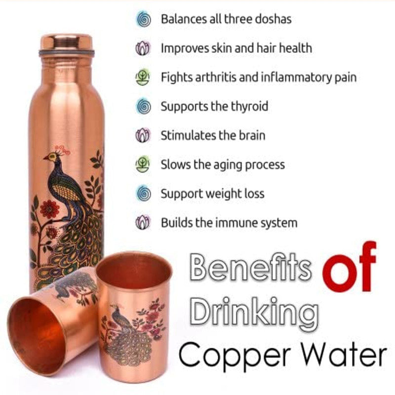 Buy Ashya Mayoora Copper Water Bottle With Glass Bottle from Vaaree