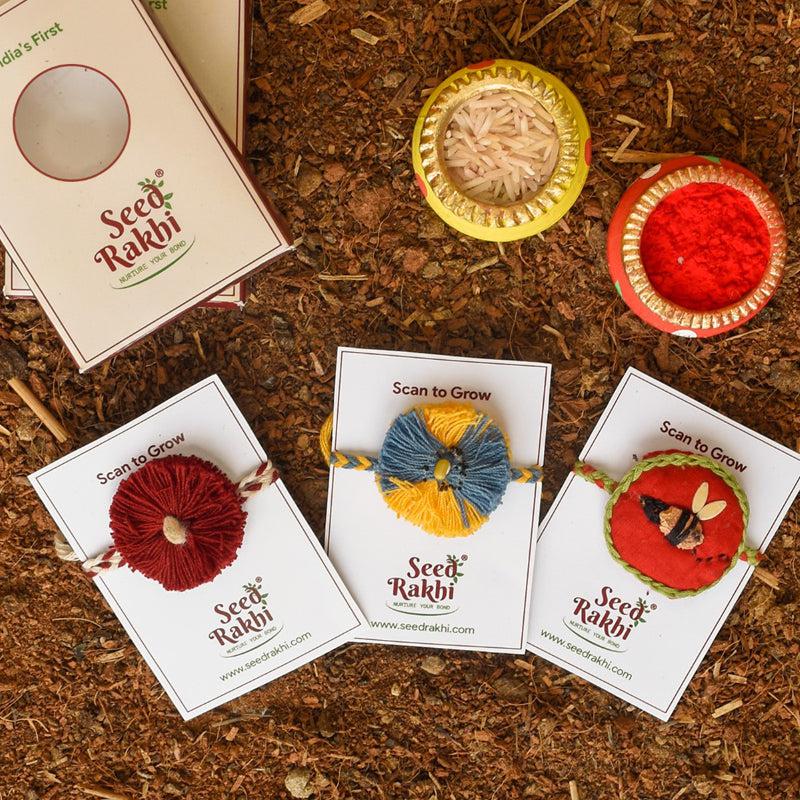 Buy Bavya Seed Rakhi Gift Box Rakhi Hamper from Vaaree