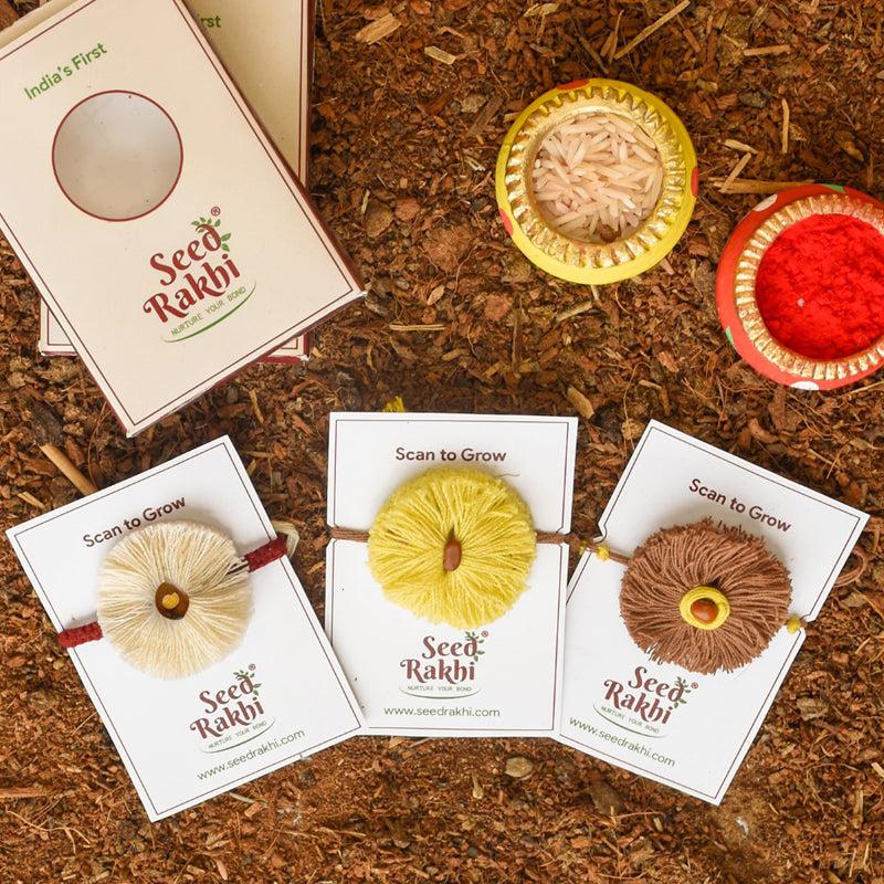 Buy Bahi Ki Kasam Seed Rakhi Gift Box Rakhi Hamper from Vaaree