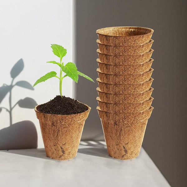 Buy Ora Coir Planter - Set Of Ten Pots & Planters from Vaaree