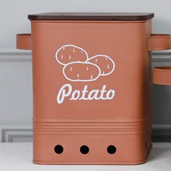 Buy Ferrous Fun Rectangle Potato Box Online in India | Container on Vaaree