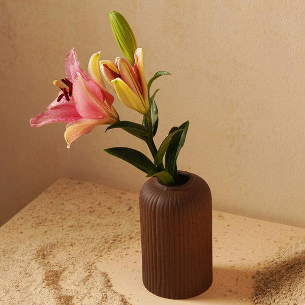 Buy Abdiya Ceramic Vase - Brown Vase from Vaaree