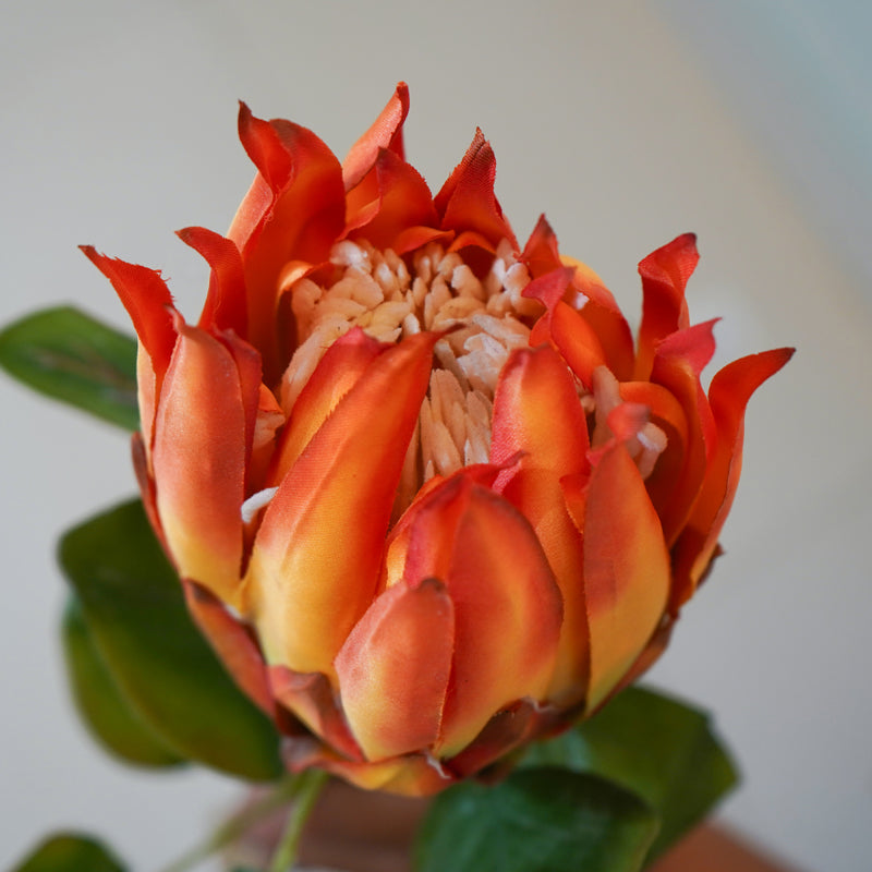 Buy Faux Protea Flower Stick (Orange) - 26 CM Artificial Flowers from Vaaree