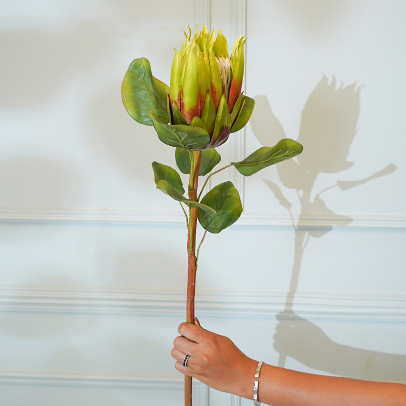 Buy Faux Protea Flower Stick (Green) - 26 CM Artificial Flowers from Vaaree