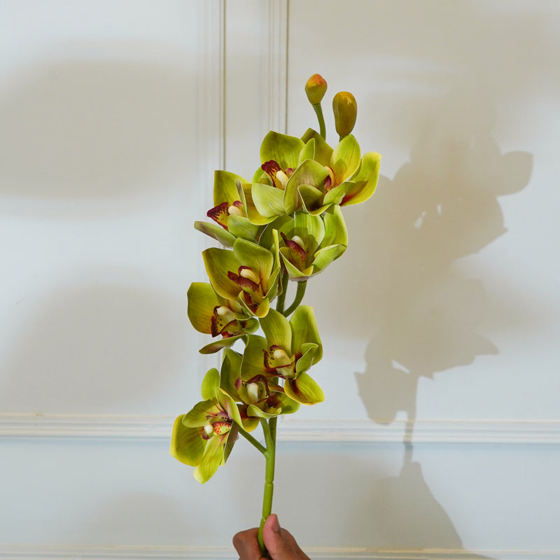 Buy Faux Cymbidium Orchid Flower Stick (Green) - 30 CM Artificial Flowers from Vaaree