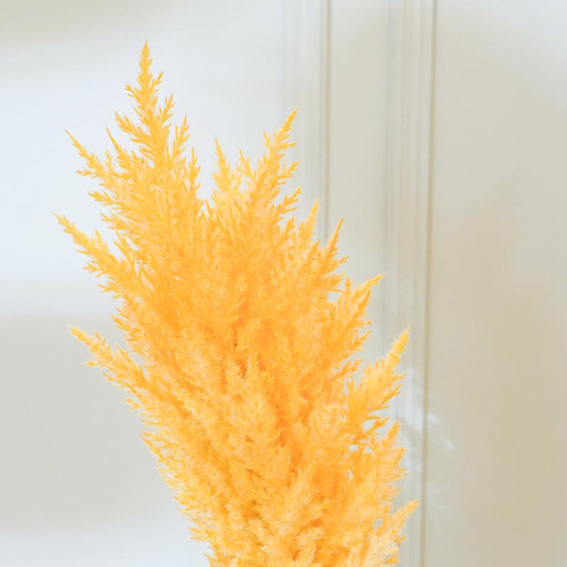 Buy Faux Cortaderia Pampas Flower Stick (Yellow) - 45 CM Artificial Flowers from Vaaree