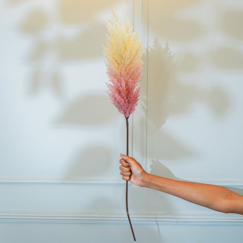 Buy Faux Cortaderia Pampas Flower Stick (White Pink) - 45 CM Artificial Flowers from Vaaree