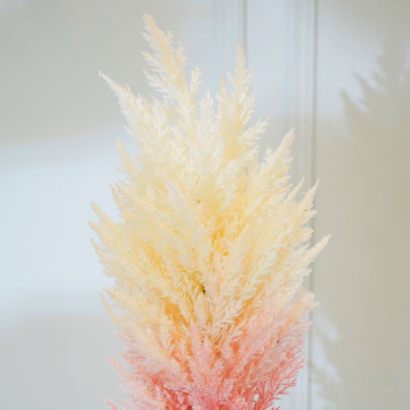 Buy Faux Cortaderia Pampas Flower Stick (White Pink) - 45 CM Artificial Flowers from Vaaree