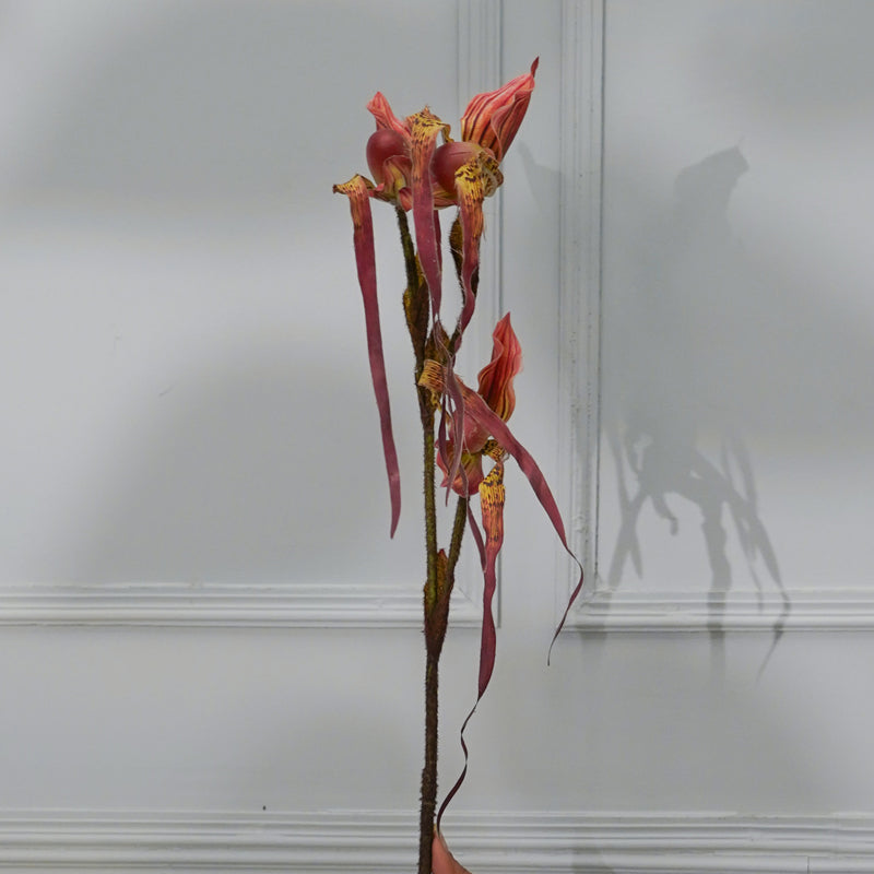 Buy Faux Paphion Orchid Flower Stick (Red) - 31 CM Artificial Flowers from Vaaree