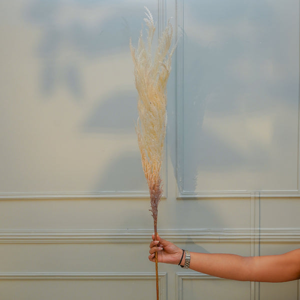 Artificial Flowers - Faux Pampas Reed Stick (White) - 45 CM