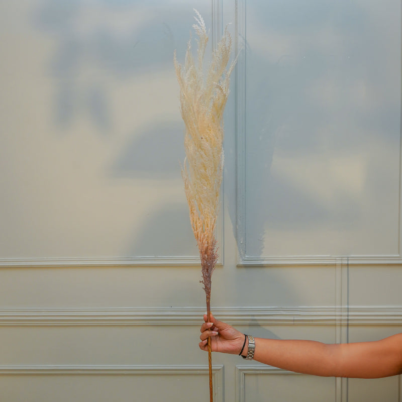 Buy Faux Pampas Reed Stick (White) - 45 CM Artificial Flowers from Vaaree