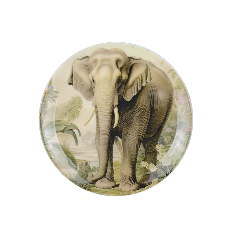 Buy Untamed Wild Wall Plate - Set Of Three Wall Plates from Vaaree