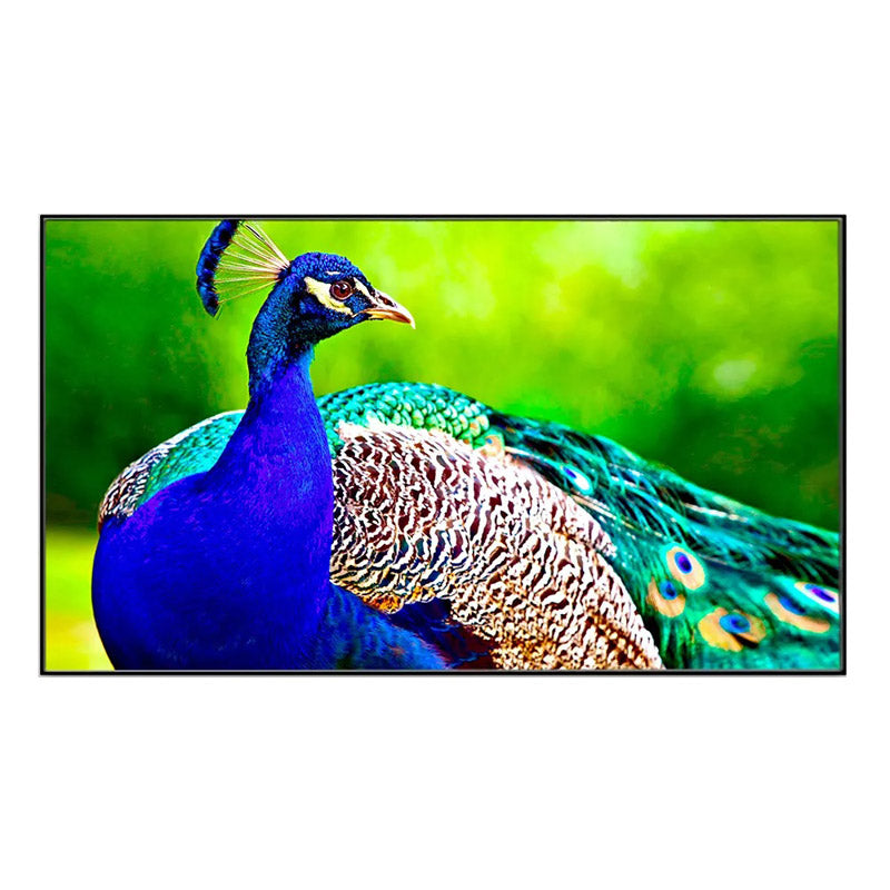 Buy Beautiful Peacock Wall Painting Wall Art & Paintings from Vaaree