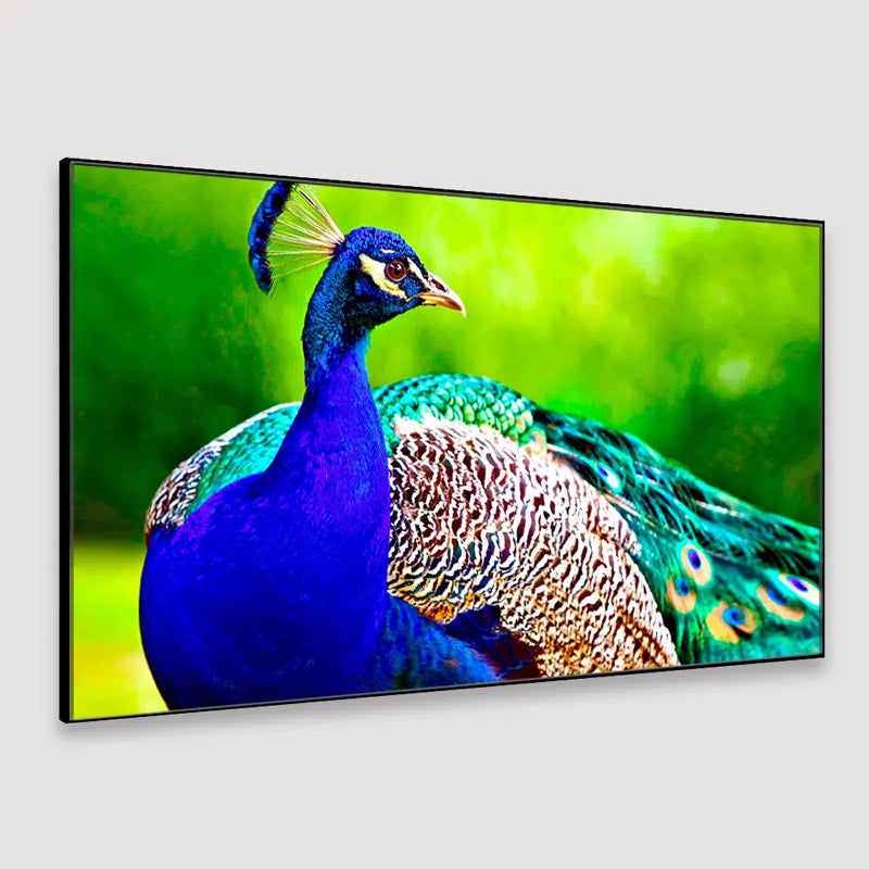 Buy Beautiful Peacock Wall Painting Wall Art & Paintings from Vaaree