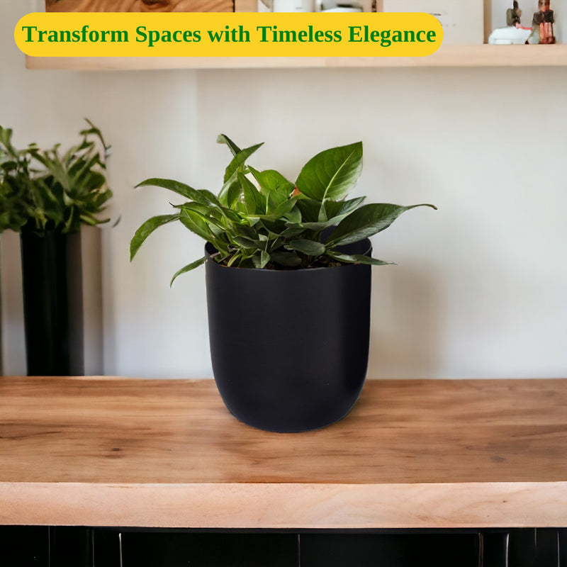 Buy Ruba Neita Planter - Black Pots & Planters from Vaaree