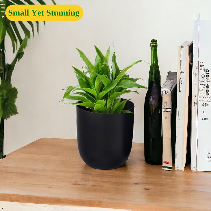 Buy Ruba Neita Planter - Black Pots & Planters from Vaaree