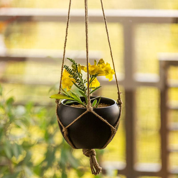 Buy Goblo Handpainted Hanging Planter Pots & Planters from Vaaree