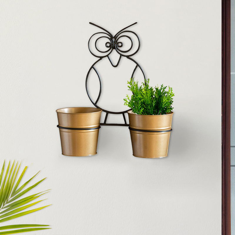 Buy Double Hoot Wall Planter - Set Of Three Pots & Planters from Vaaree