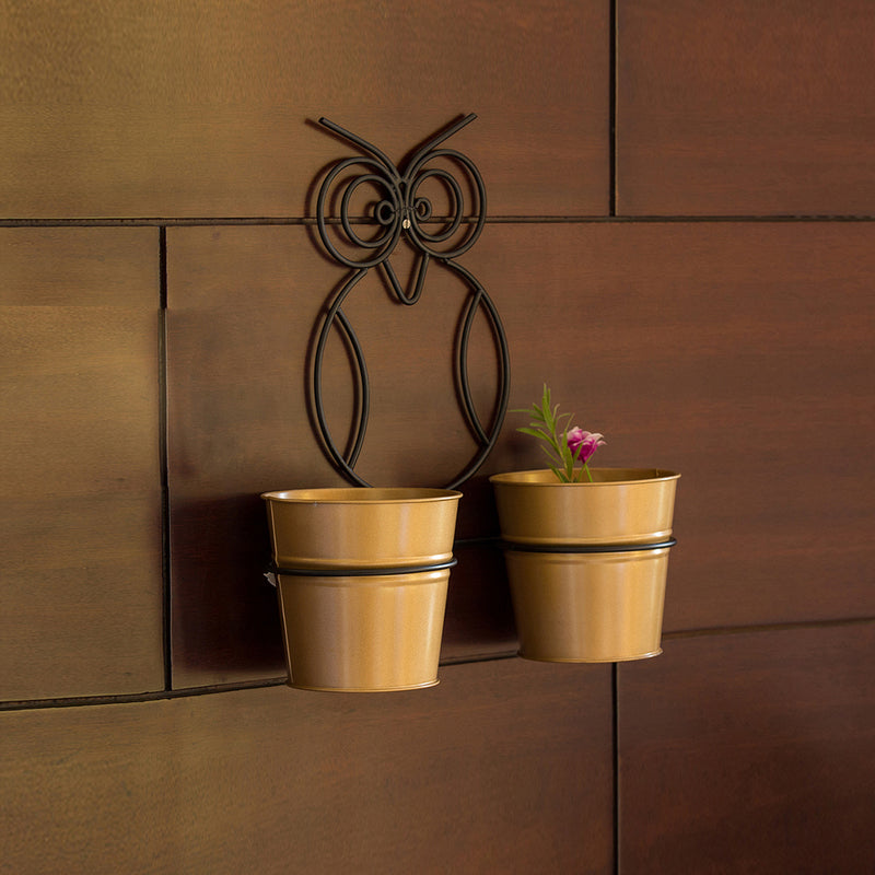 Buy Double Hoot Wall Planter - Set Of Three Pots & Planters from Vaaree