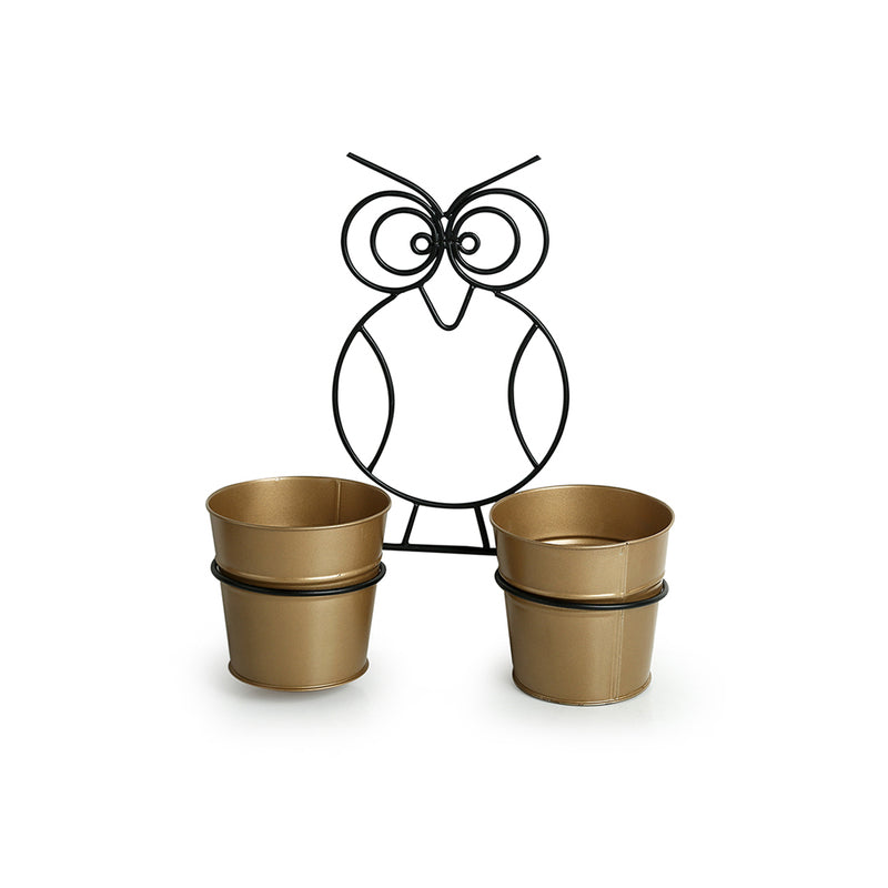 Buy Double Hoot Wall Planter - Set Of Three Pots & Planters from Vaaree