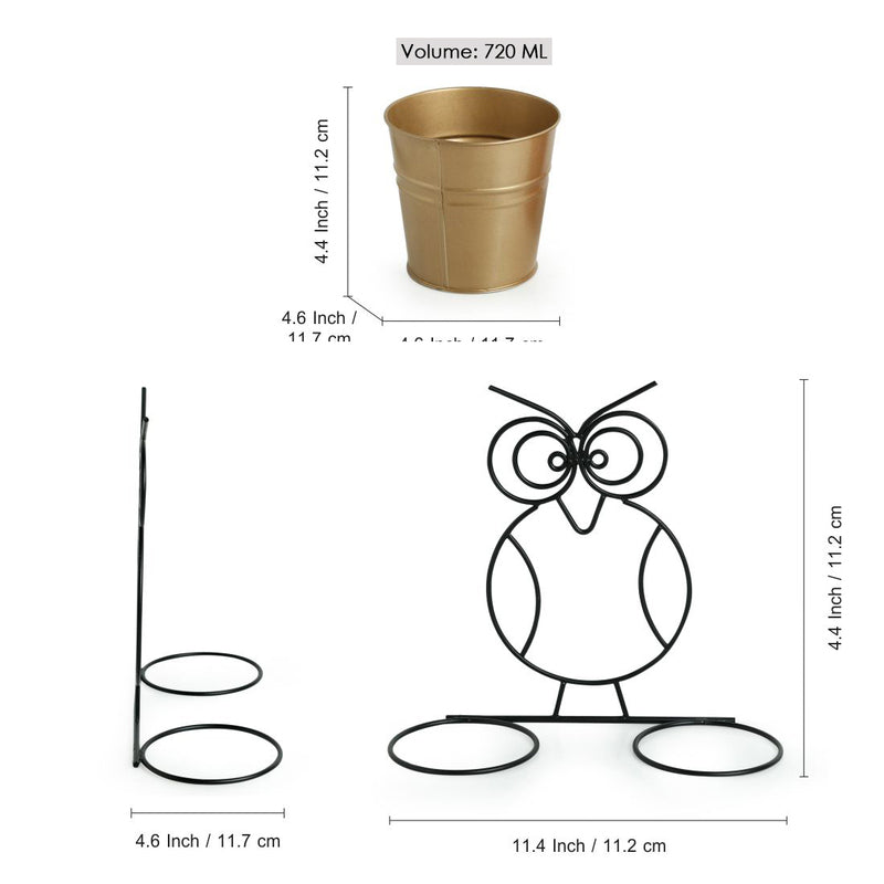 Buy Double Hoot Wall Planter - Set Of Three Pots & Planters from Vaaree