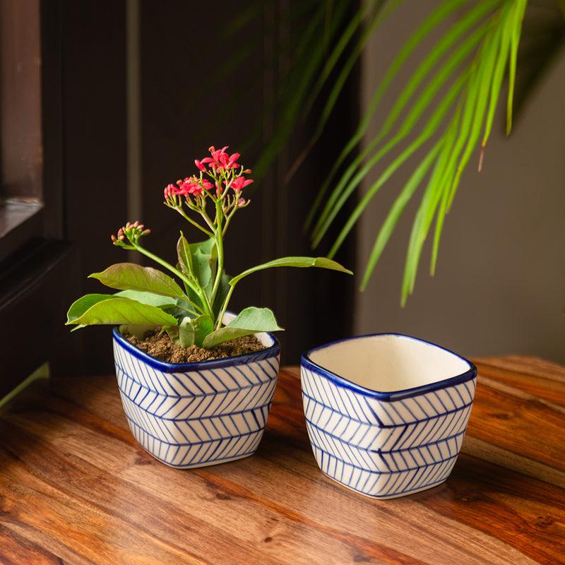 Buy Indigo Ethnic Planter - Set Of Two Pots & Planters from Vaaree