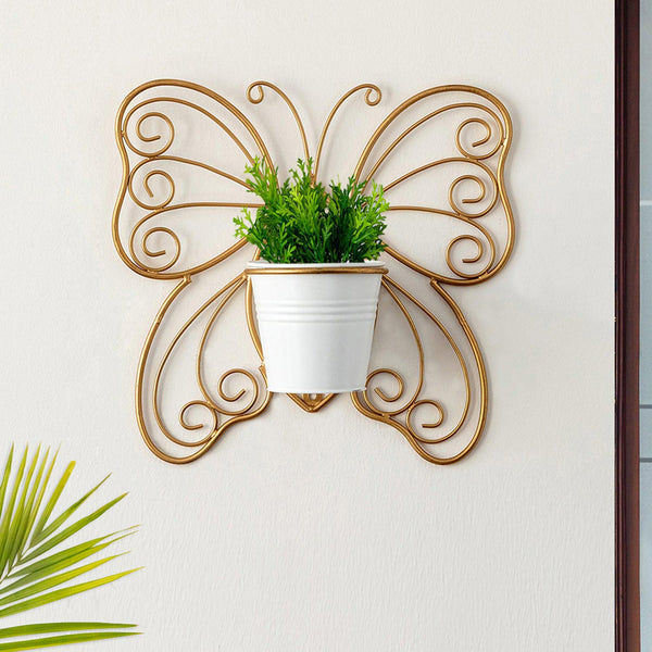 Buy Titli Ima Wall Planter Pots & Planters from Vaaree